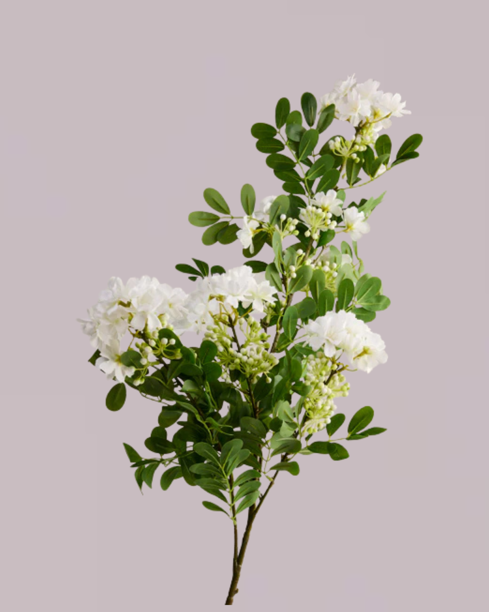 FOLIAGE BRANCH WITH WHITE HYDRANGEA