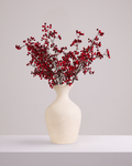 FESTIVE RED BERRY