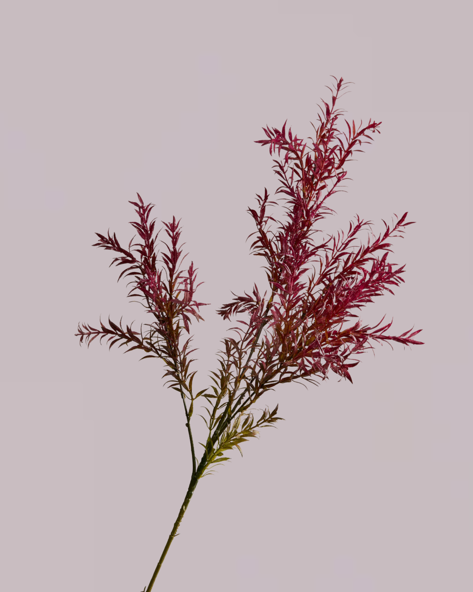 FOLIAGE SPRAY IN DEEP RED