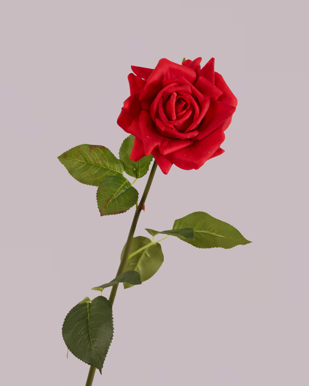 REAL TOUCH ROSE IN RED
