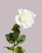 REAL TOUCH ROSE WHITE