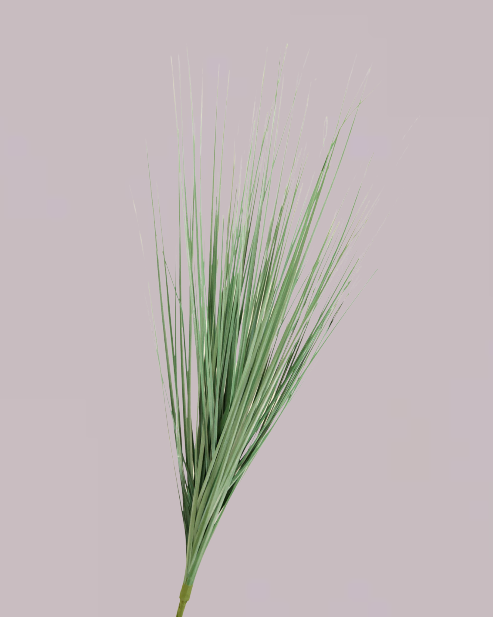 GRASS SPRAY