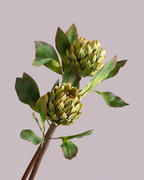 GREEN ARTICHOKE