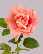 REAL TOUCH ROSE IN CANDY PINK