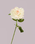 REAL TOUCH ROSE WHITE AND PINK