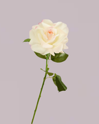 REAL TOUCH ROSE WHITE AND PINK