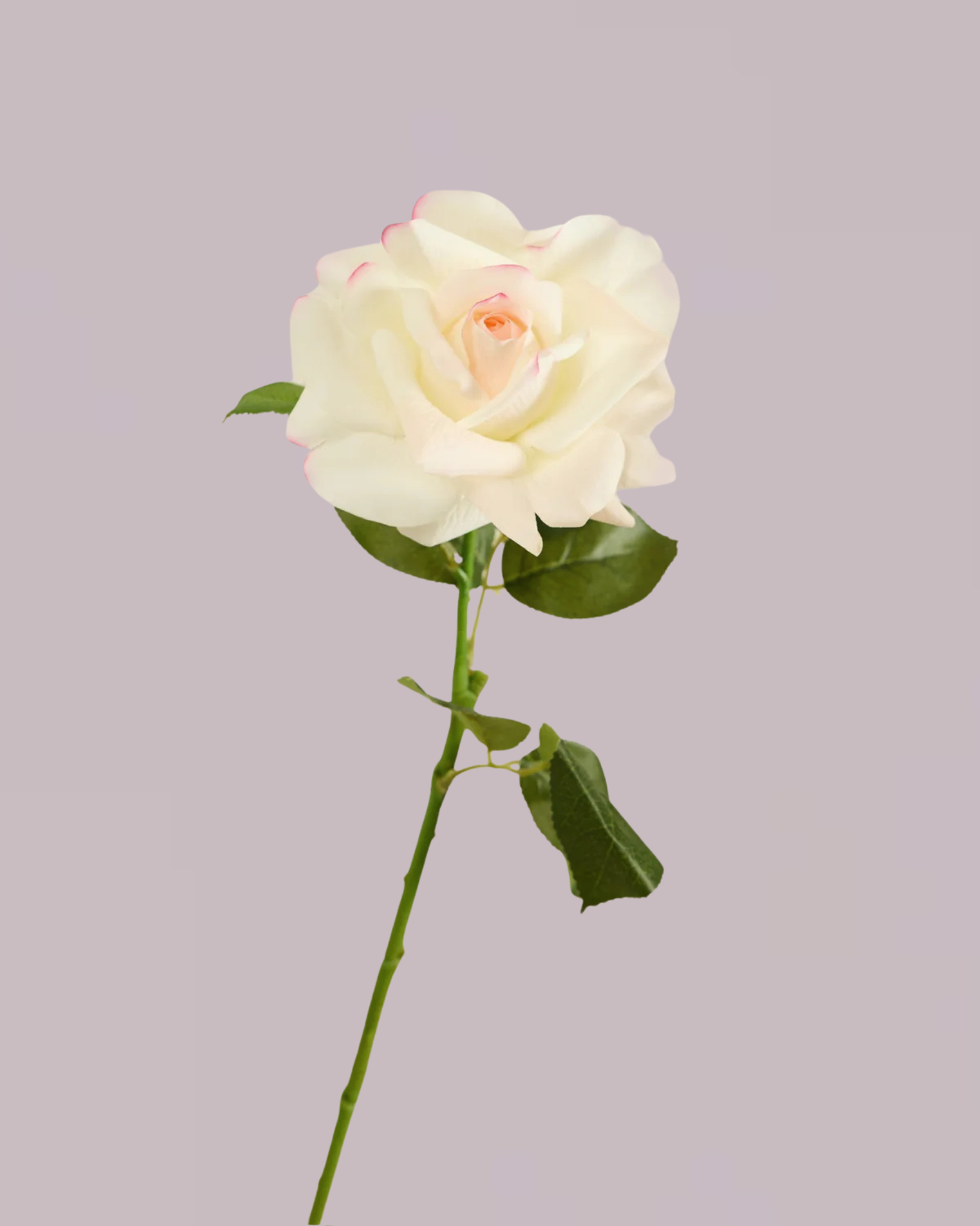 REAL TOUCH ROSE WHITE AND PINK