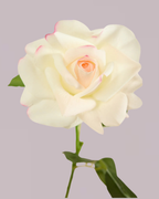 REAL TOUCH ROSE WHITE AND PINK