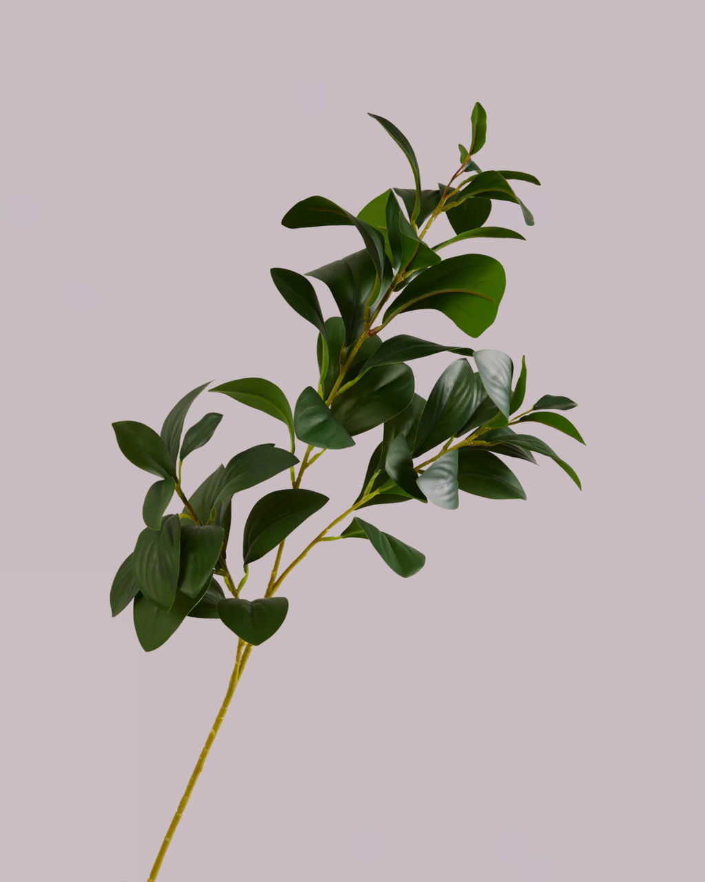 Green Leaf Branch