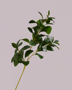 Green Leaf Branch