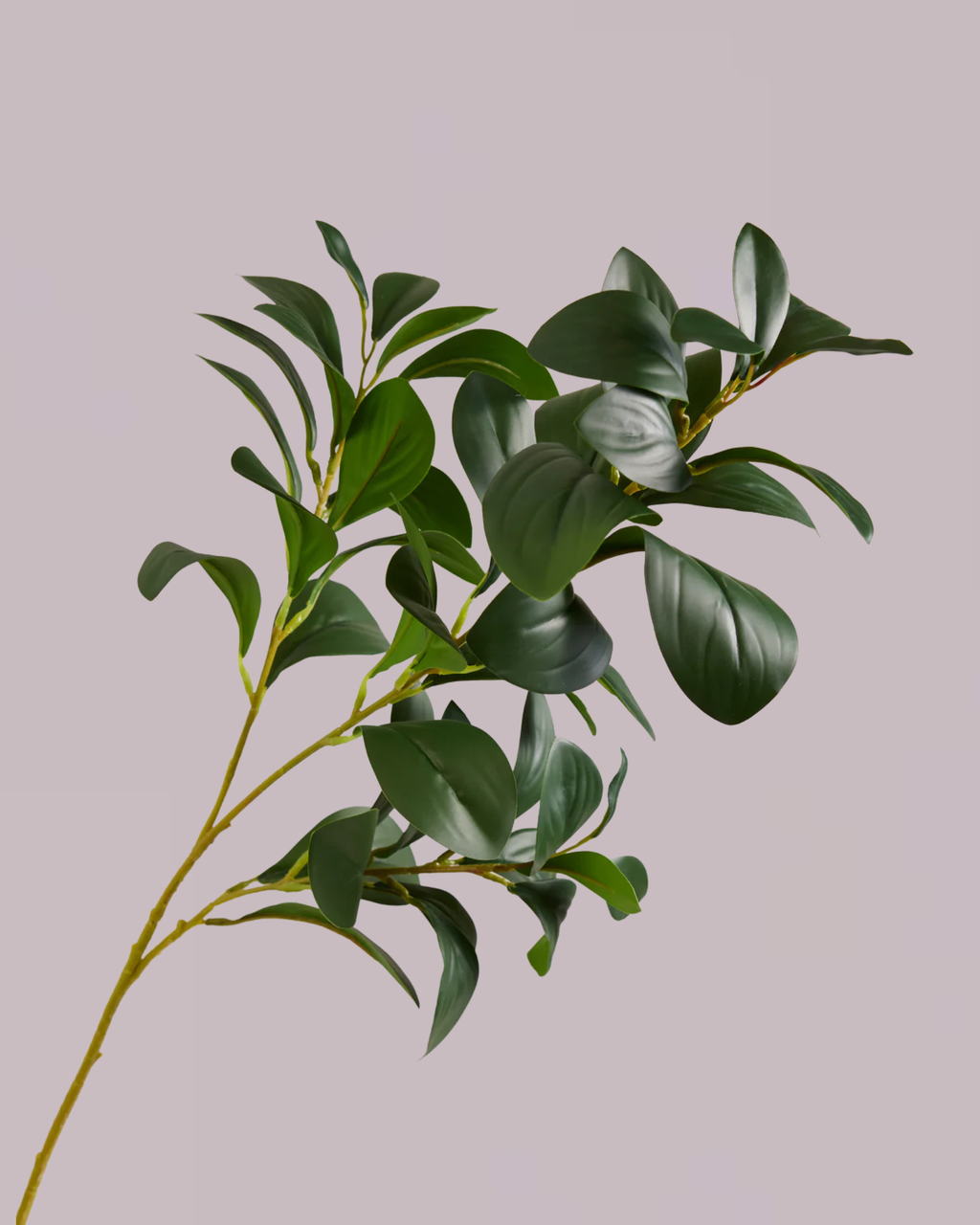 Green Leaf Branch