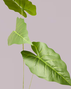GREEN LEAF TRIO STEM
