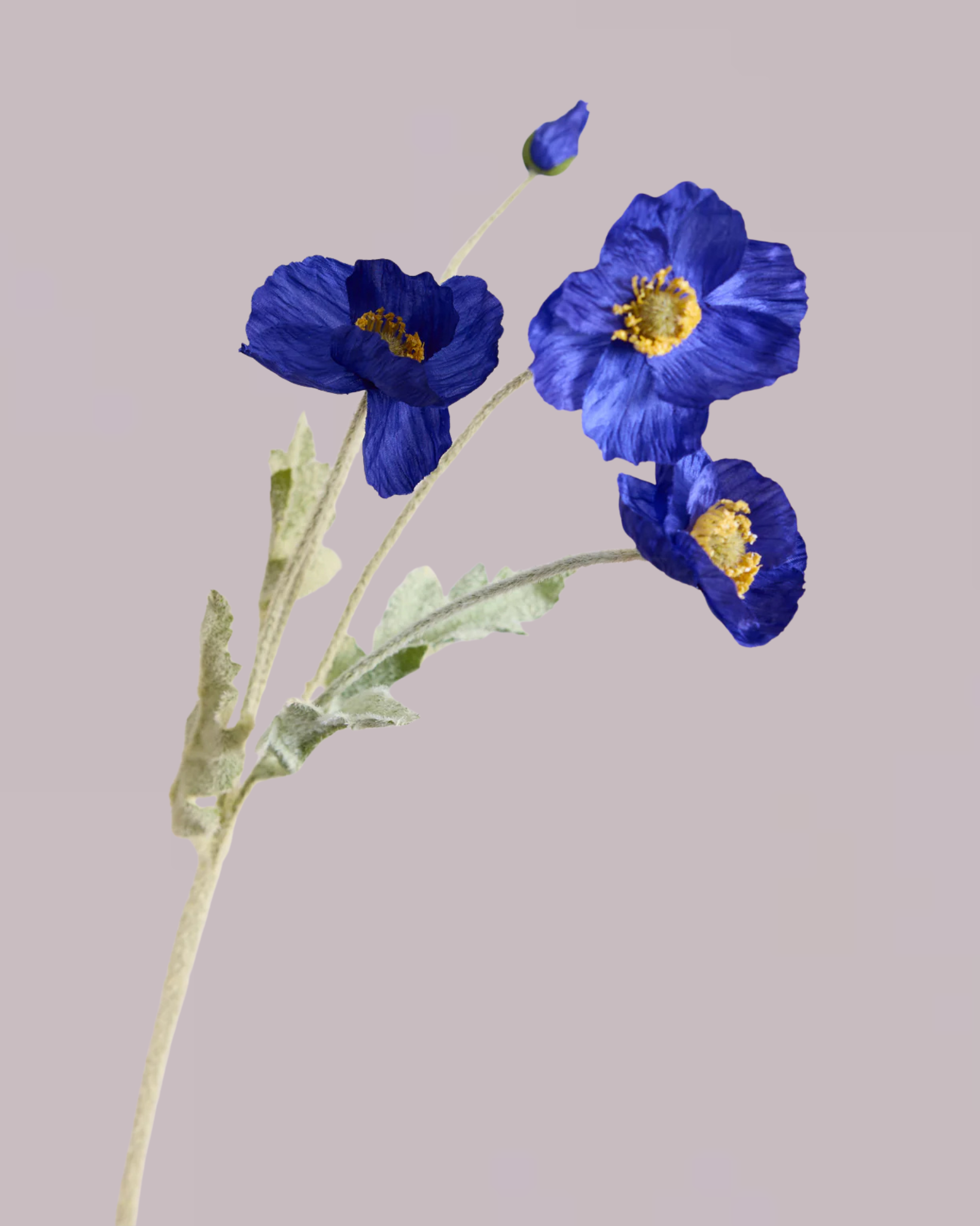 SILK POPPY IN DARK BLUE