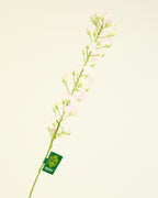 SILK-KA LATHYRUS IN SOFT PINK 86CM