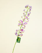 SILK-KA LATHYRUS IN PURPLE 86CM