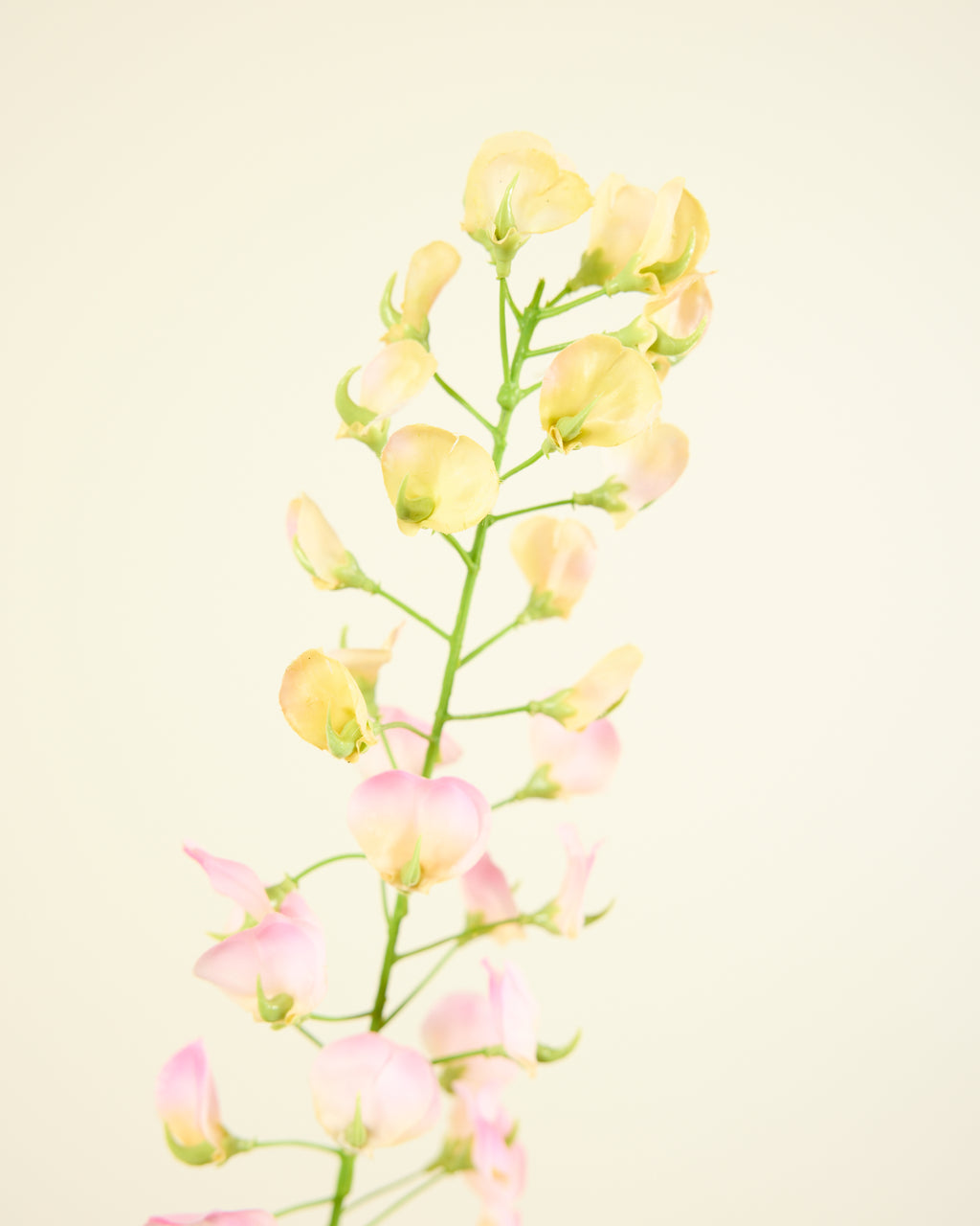 SILK-KA LATHYRUS IN PINK 86CM