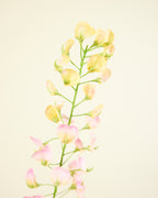 SILK-KA LATHYRUS IN PINK 86CM