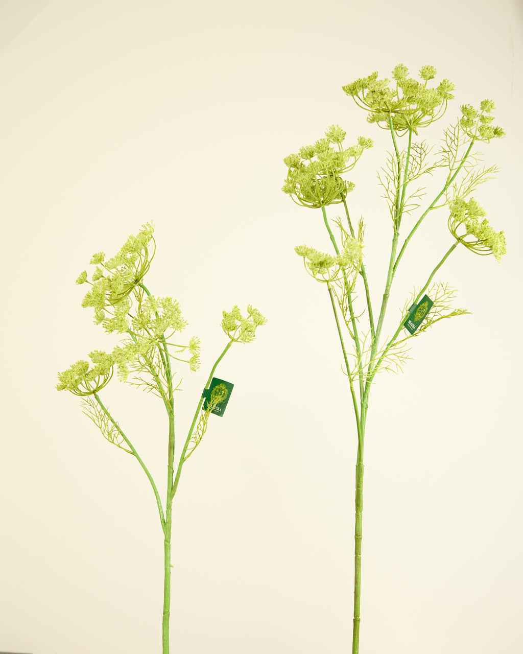 SILK-KA QUEEN ANNES LACE IN GREEN 78CM