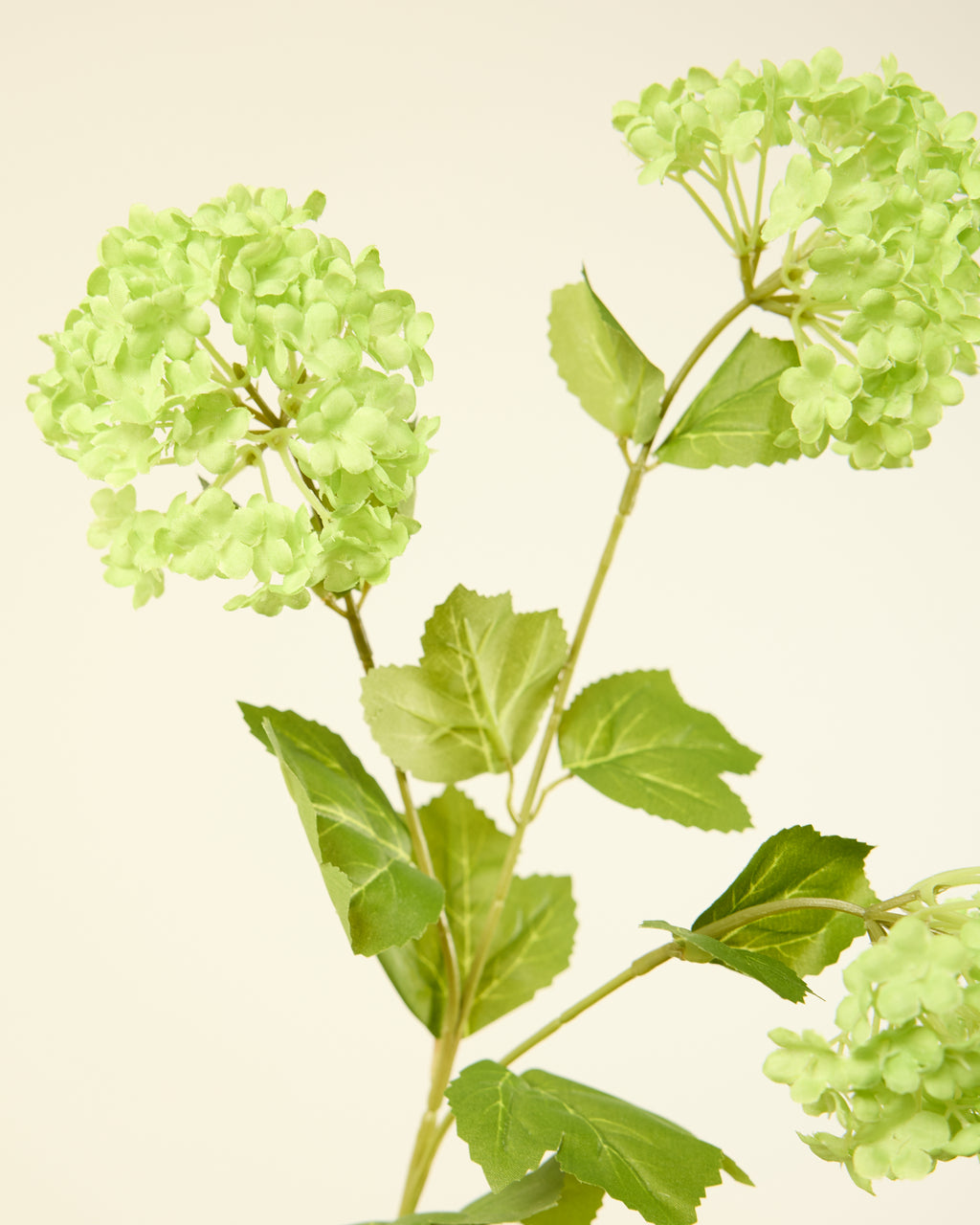 SILK-KA VIBURNUM IN GREEN 62CM