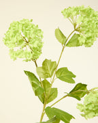 SILK-KA VIBURNUM IN GREEN 62CM