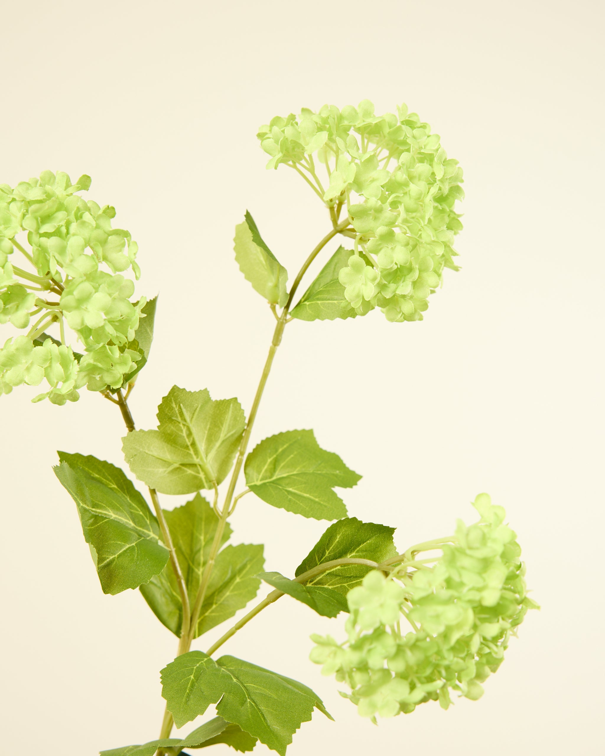 SILK-KA VIBURNUM IN GREEN 62CM