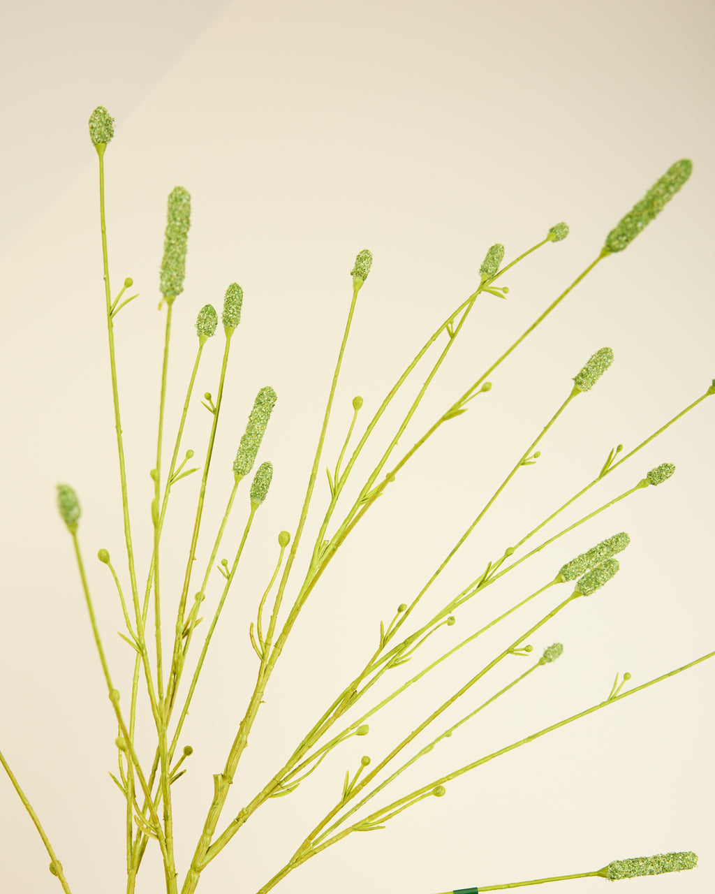 SILK-KA PIMPERNEL IN GREEN 116CM