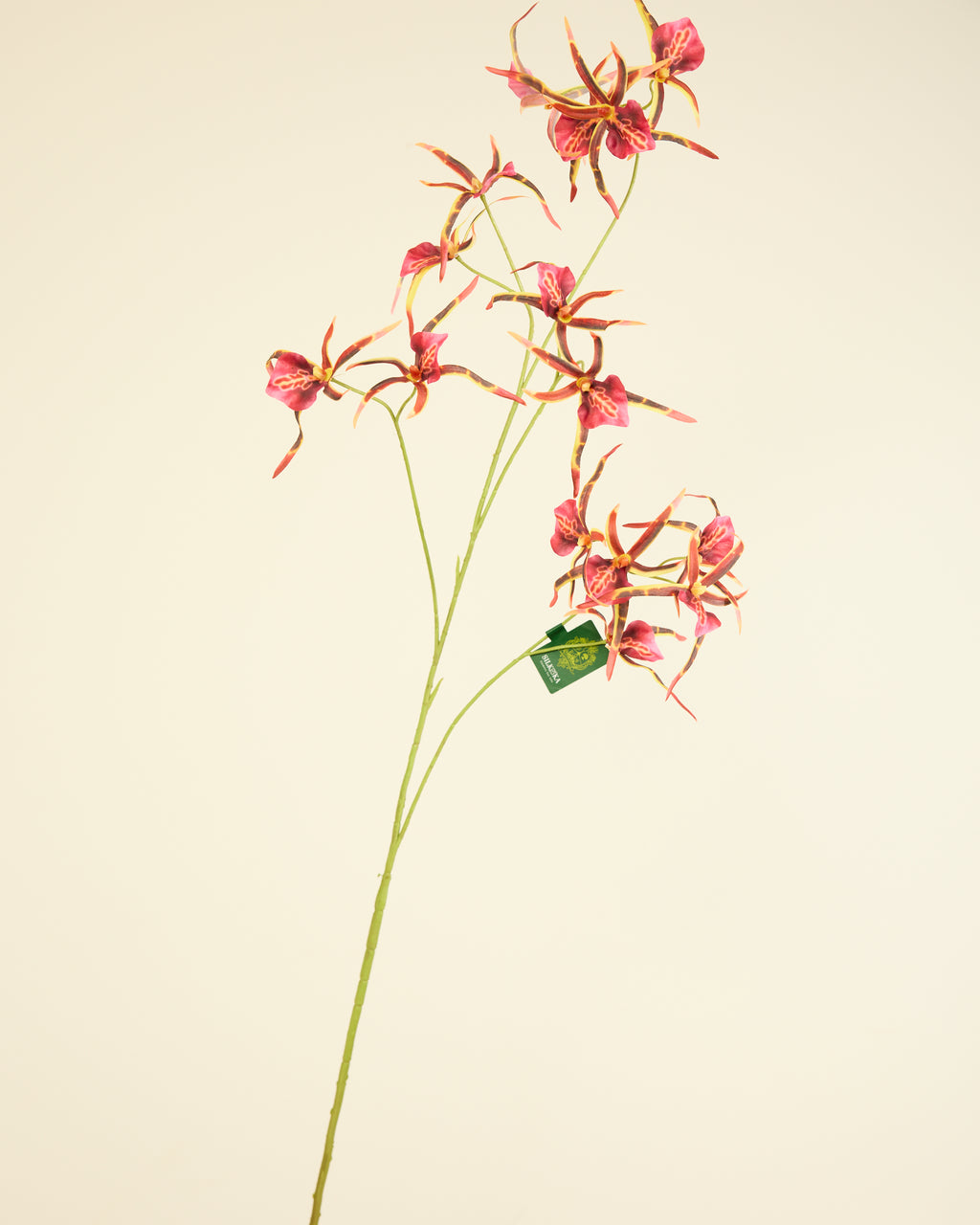 SILK-KA BURGUNDY ORCHID SPRAY 110CM
