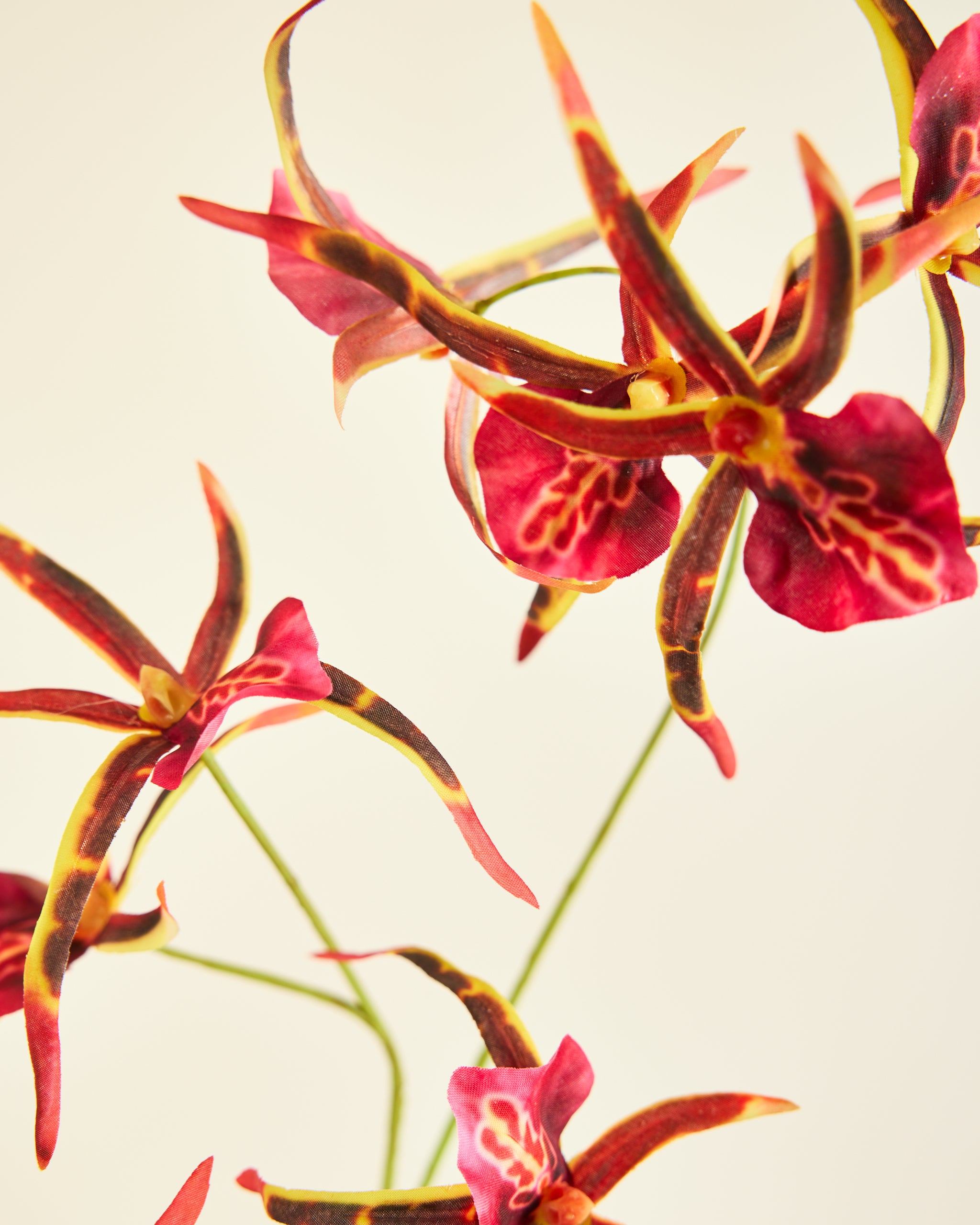 SILK-KA BURGUNDY ORCHID SPRAY 110CM