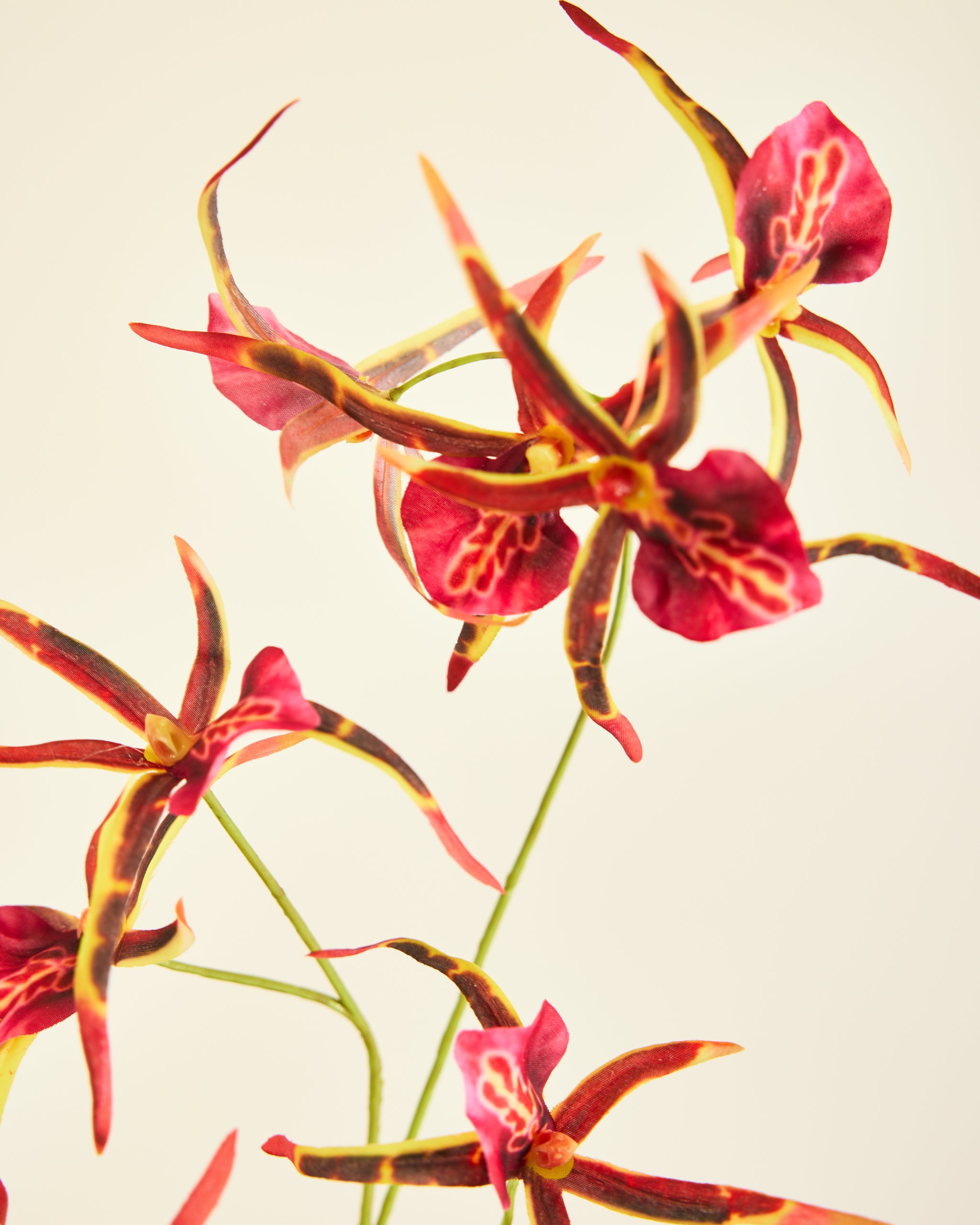 SILK-KA BURGUNDY ORCHID SPRAY 110CM