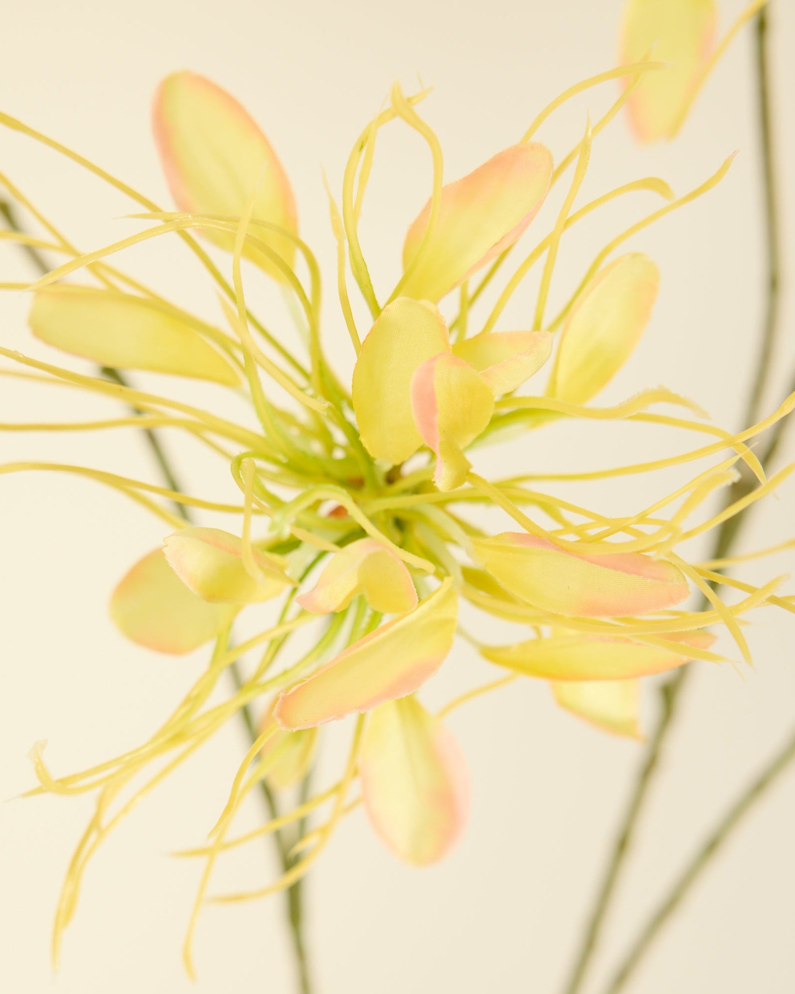 SILK-KA HONEYSUCKLE YELLOW 118CM