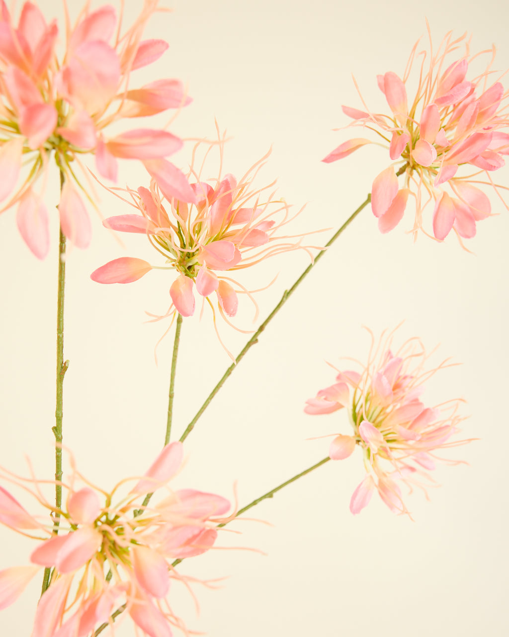 SILK-KA HONEYSUCKLE PINK 118CM
