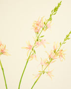 SILK-KA CROCOSMIA IN PINK 95CM