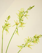 SILK-KA CROCOSMIA IN GREEN 95CM