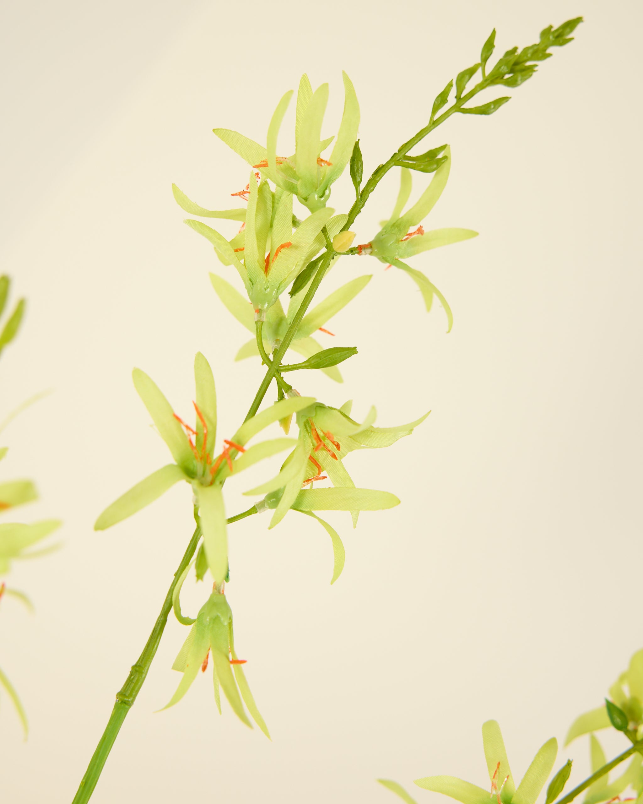 SILK-KA CROCOSMIA IN GREEN 95CM