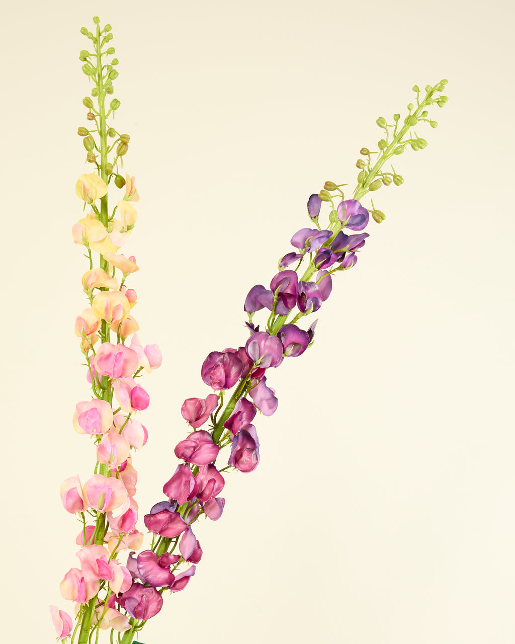 SILK-KA LATHYRUS IN PURPLE 135CM