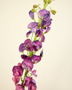 SILK-KA LATHYRUS IN PURPLE 135CM