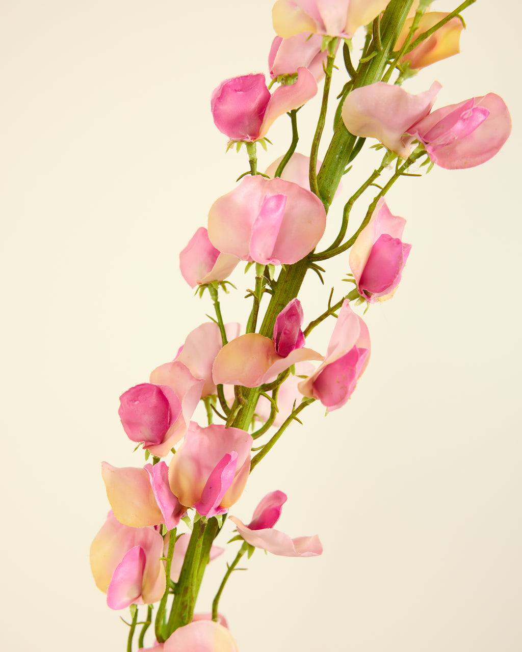 SILK-KA LATHYRUS IN PINK 135CM