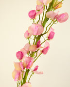 SILK-KA LATHYRUS IN PINK 135CM