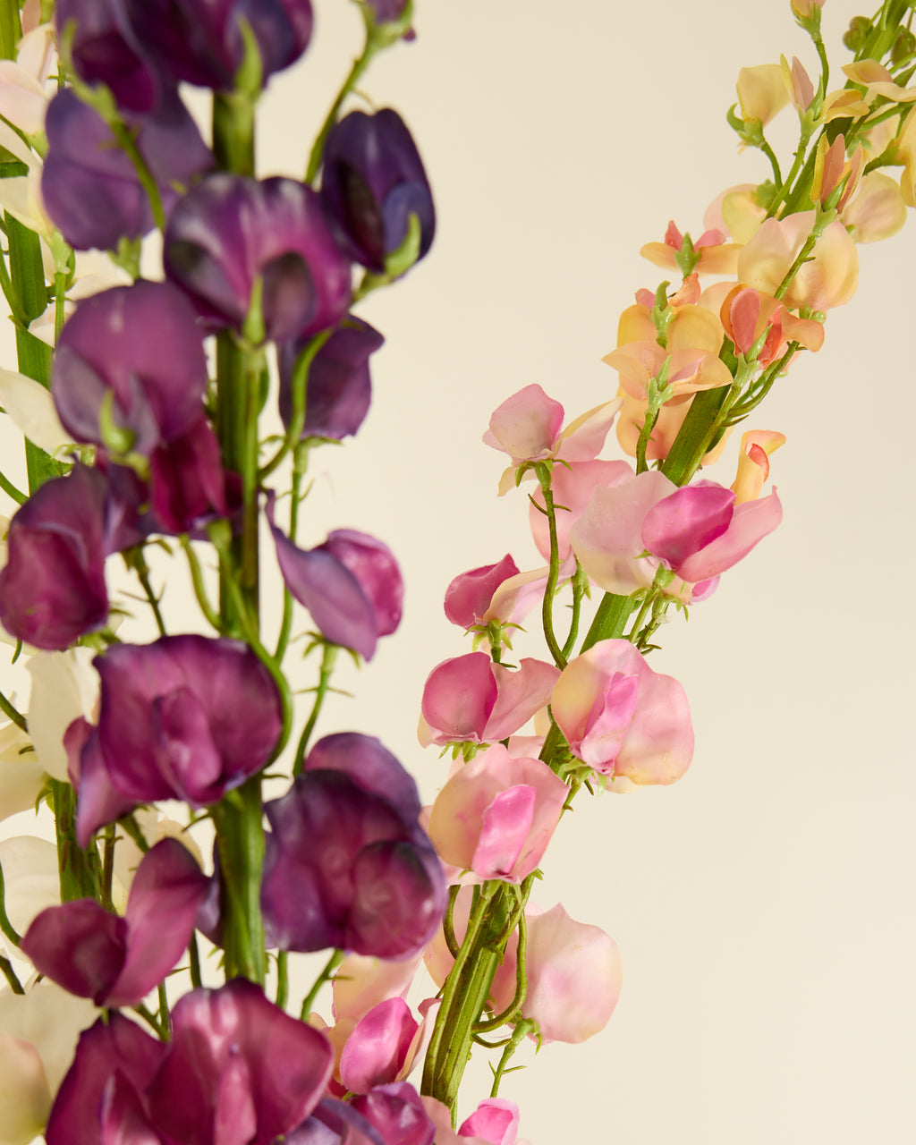 SILK-KA LATHYRUS IN PURPLE 135CM
