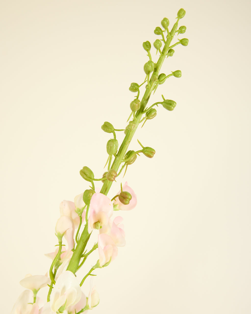 SILK-KA LATHYRUS IN SOFT PINK 135CM