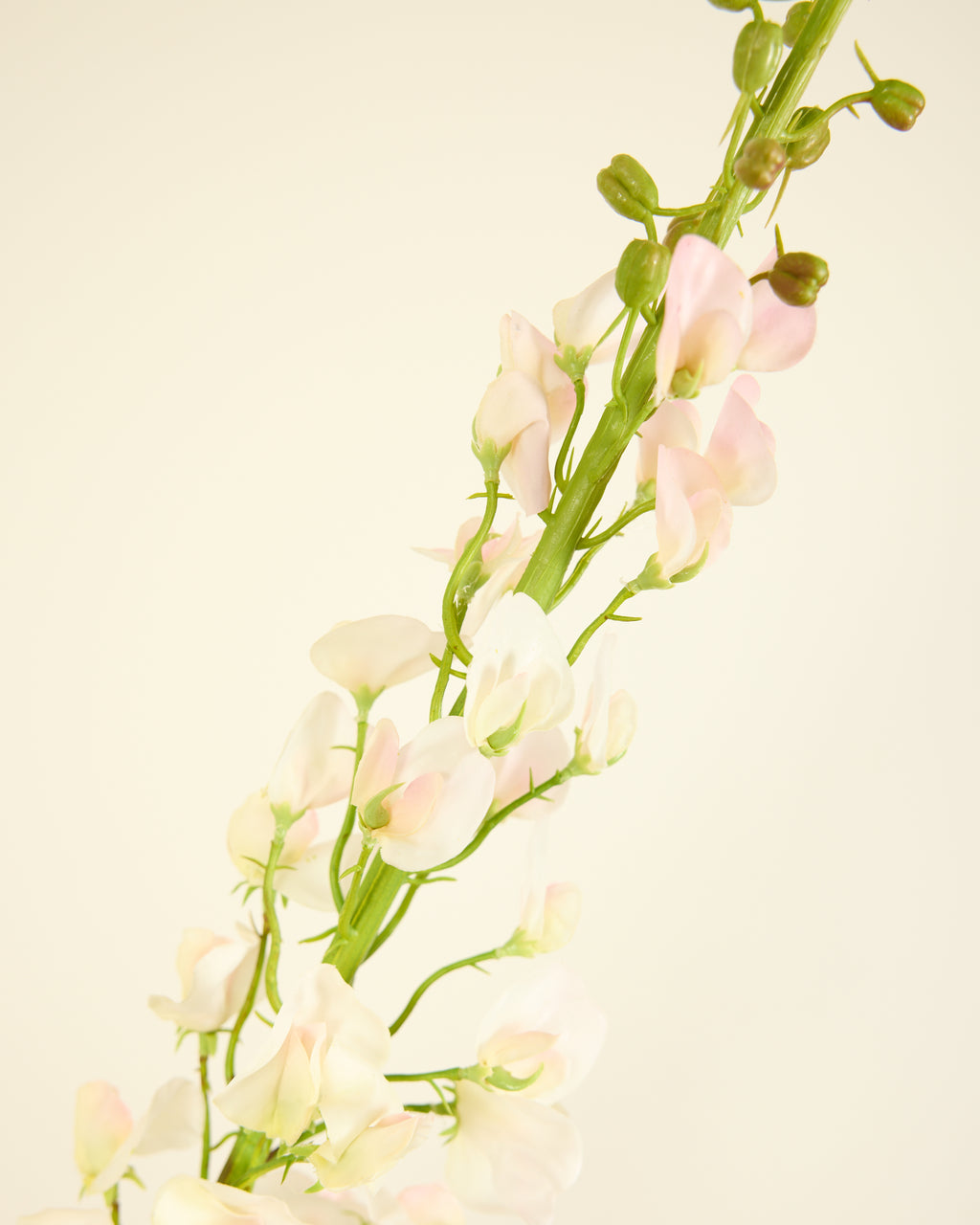SILK-KA LATHYRUS IN SOFT PINK 135CM