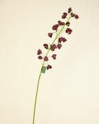 SILK-KA FRITILLARIA BURGUNDY 111CM