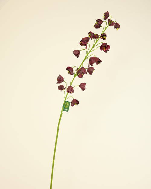 SILK-KA FRITILLARIA BURGUNDY 111CM