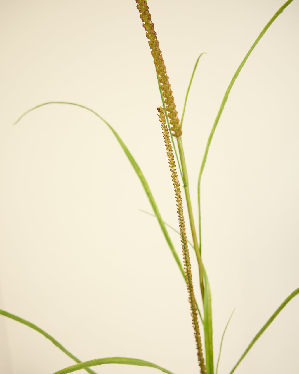 SILK-KA GRASS SPRAY 173CM
