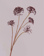 SILK-KA QUEEN ANNES LACE IN BURGUNDY 78CM