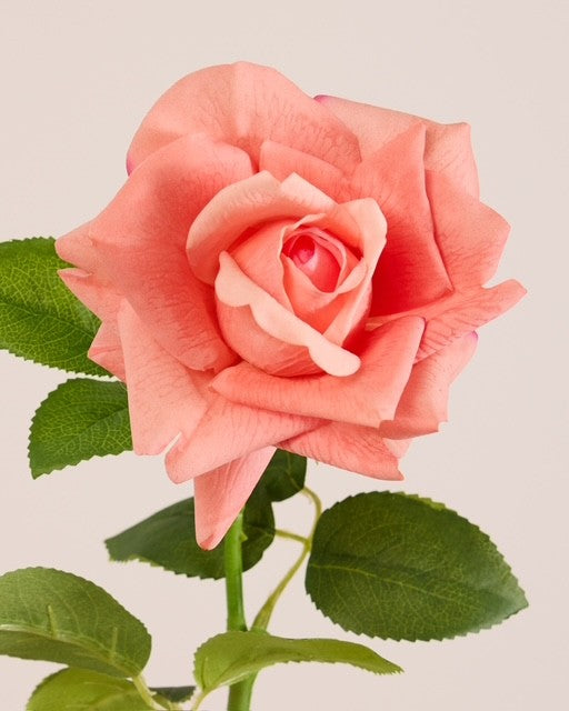 REAL TOUCH ROSE IN CANDY PINK