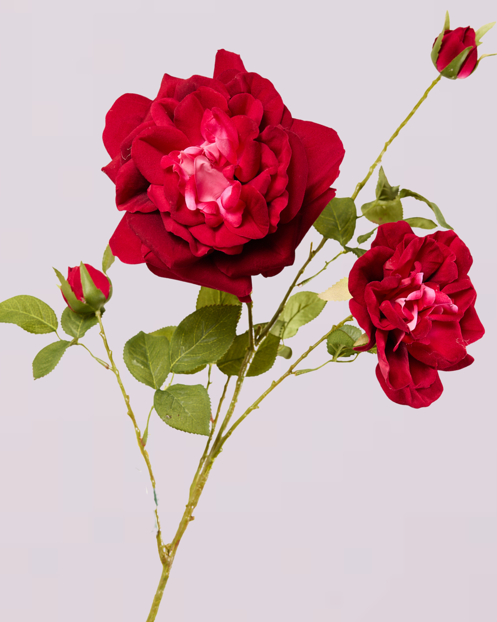 SILK-KA ROSE SPRAY 102CM IN BURGUNDY