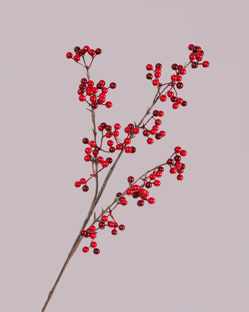 FESTIVE RED BERRY