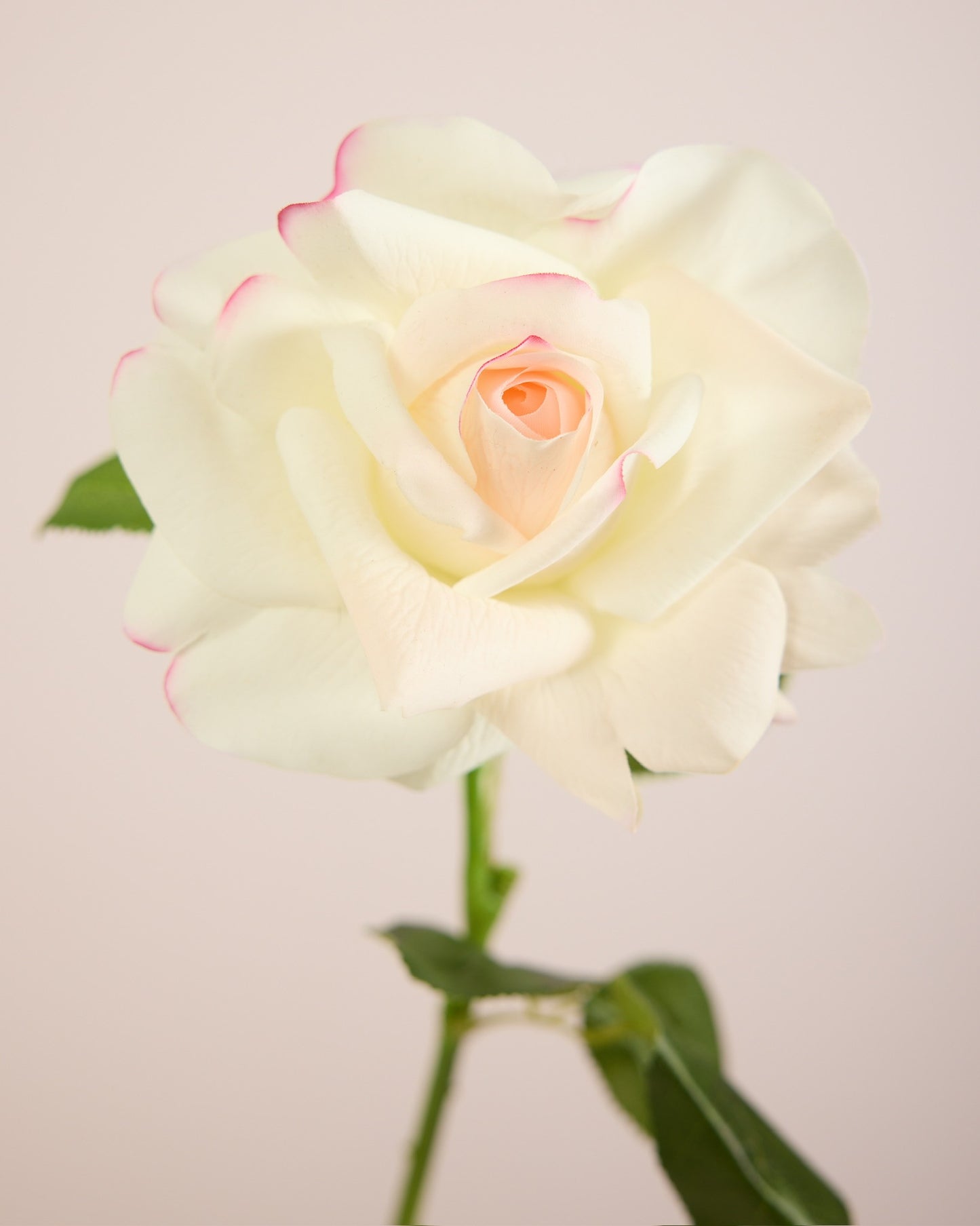 REAL TOUCH ROSE WHITE AND PINK