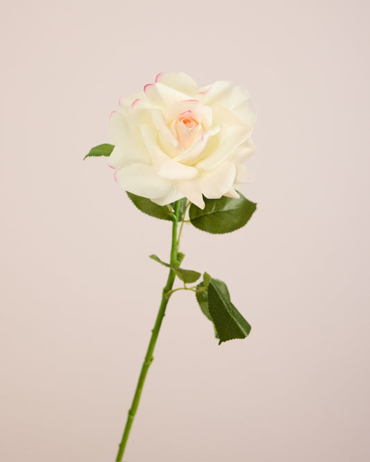 REAL TOUCH ROSE WHITE AND PINK